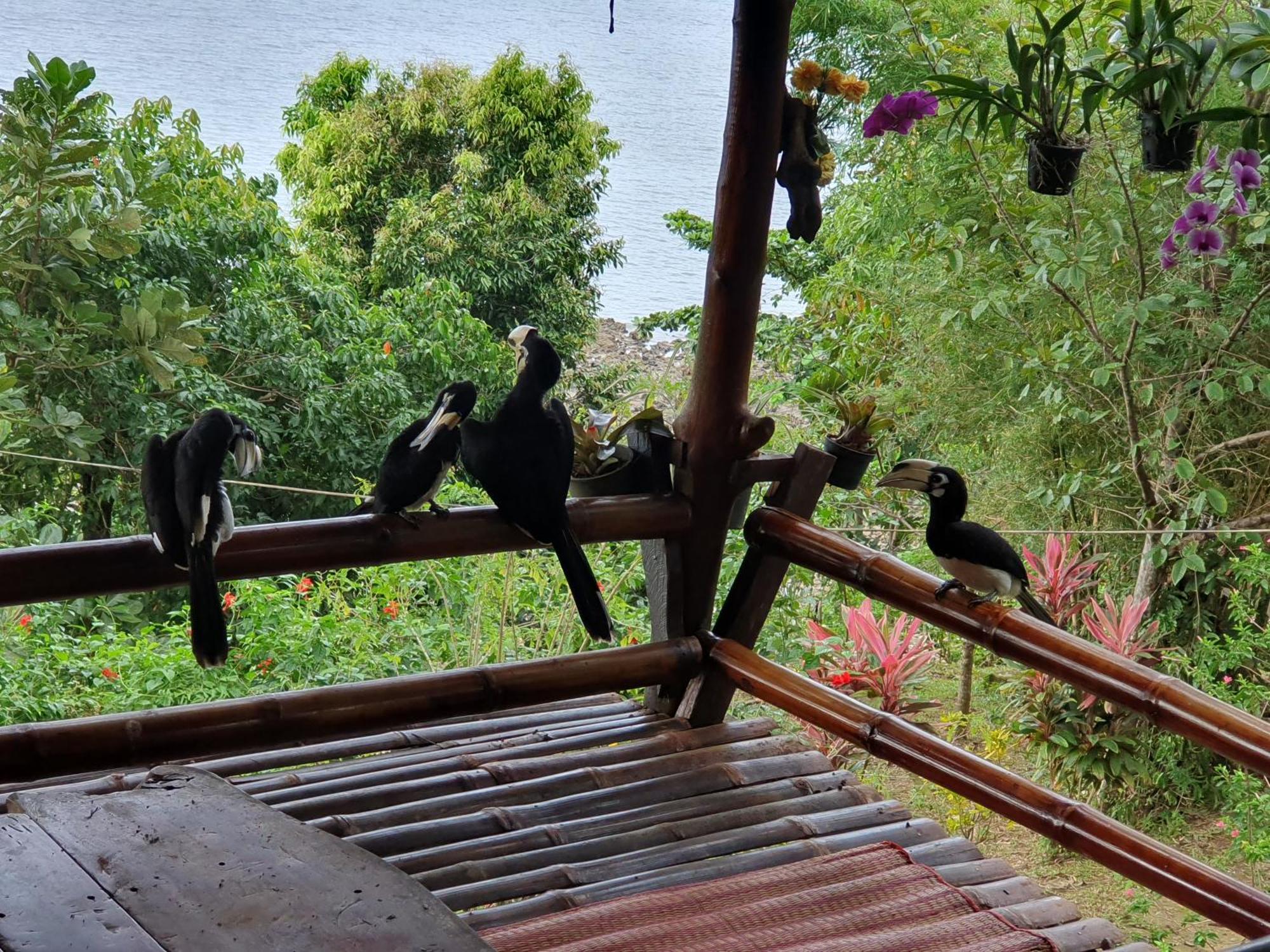 Littleduck Bungalow Koh Chang Ranong Exterior photo