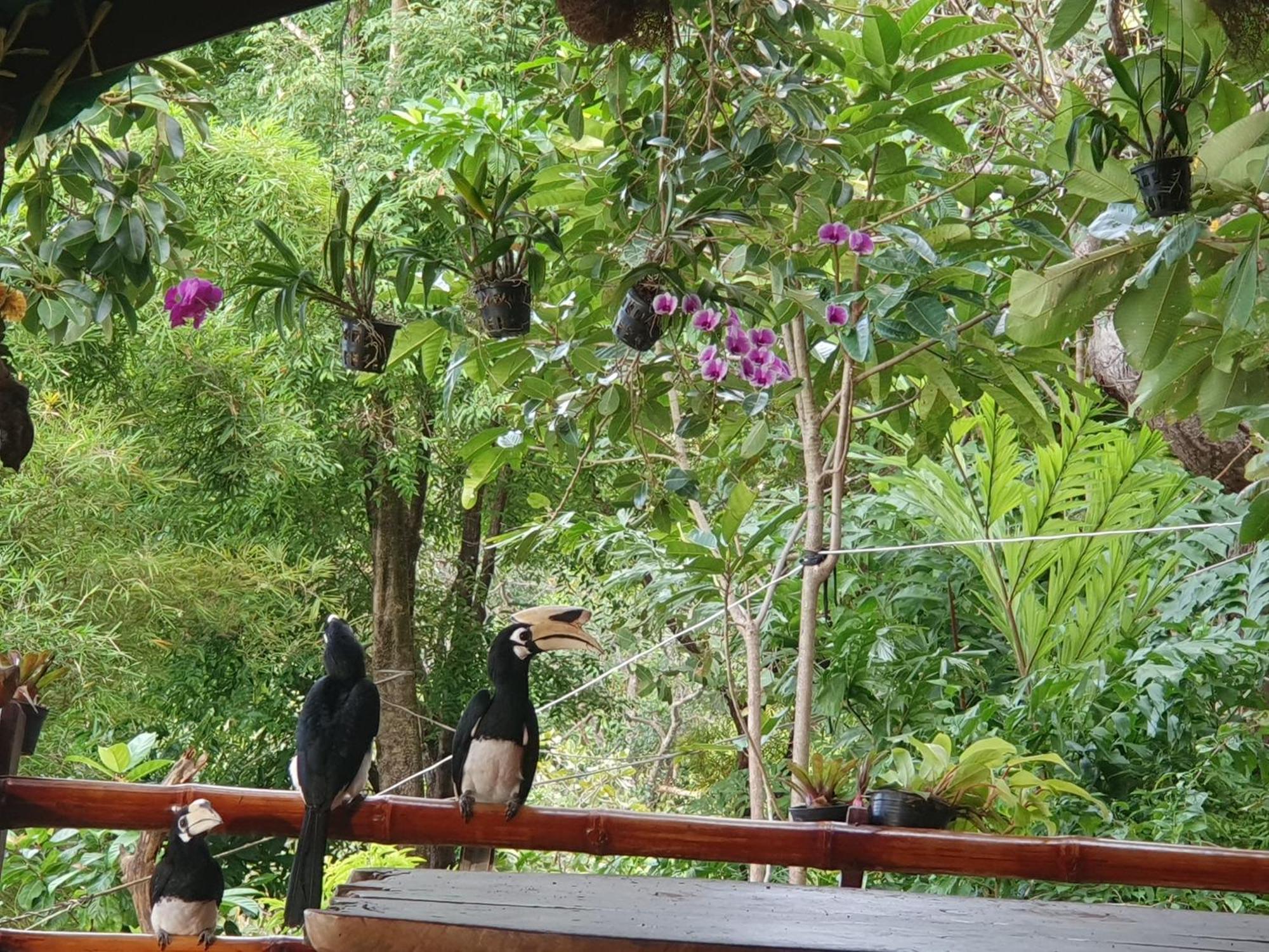 Littleduck Bungalow Koh Chang Ranong Exterior photo