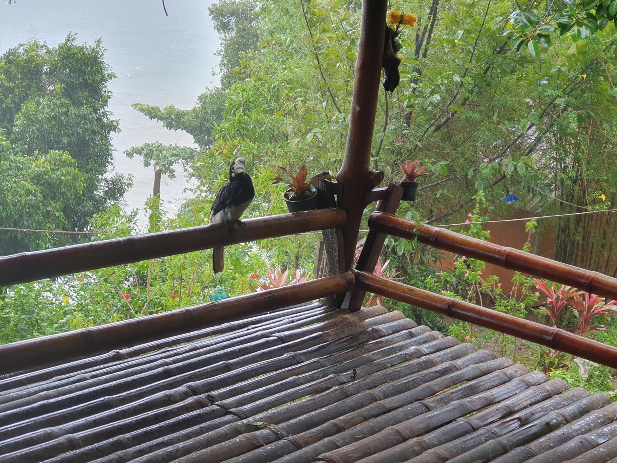 Littleduck Bungalow Koh Chang Ranong Exterior photo