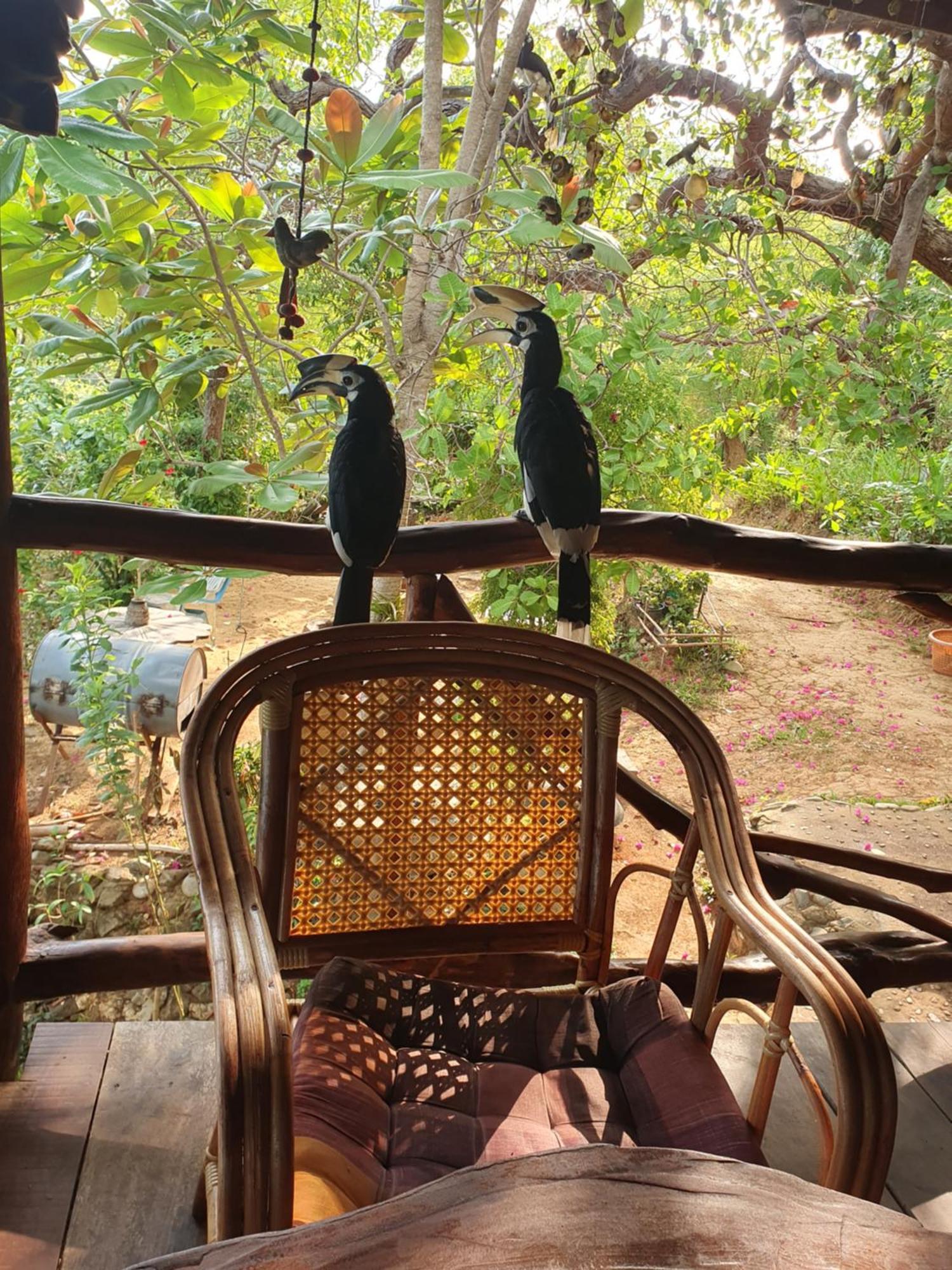 Littleduck Bungalow Koh Chang Ranong Room photo