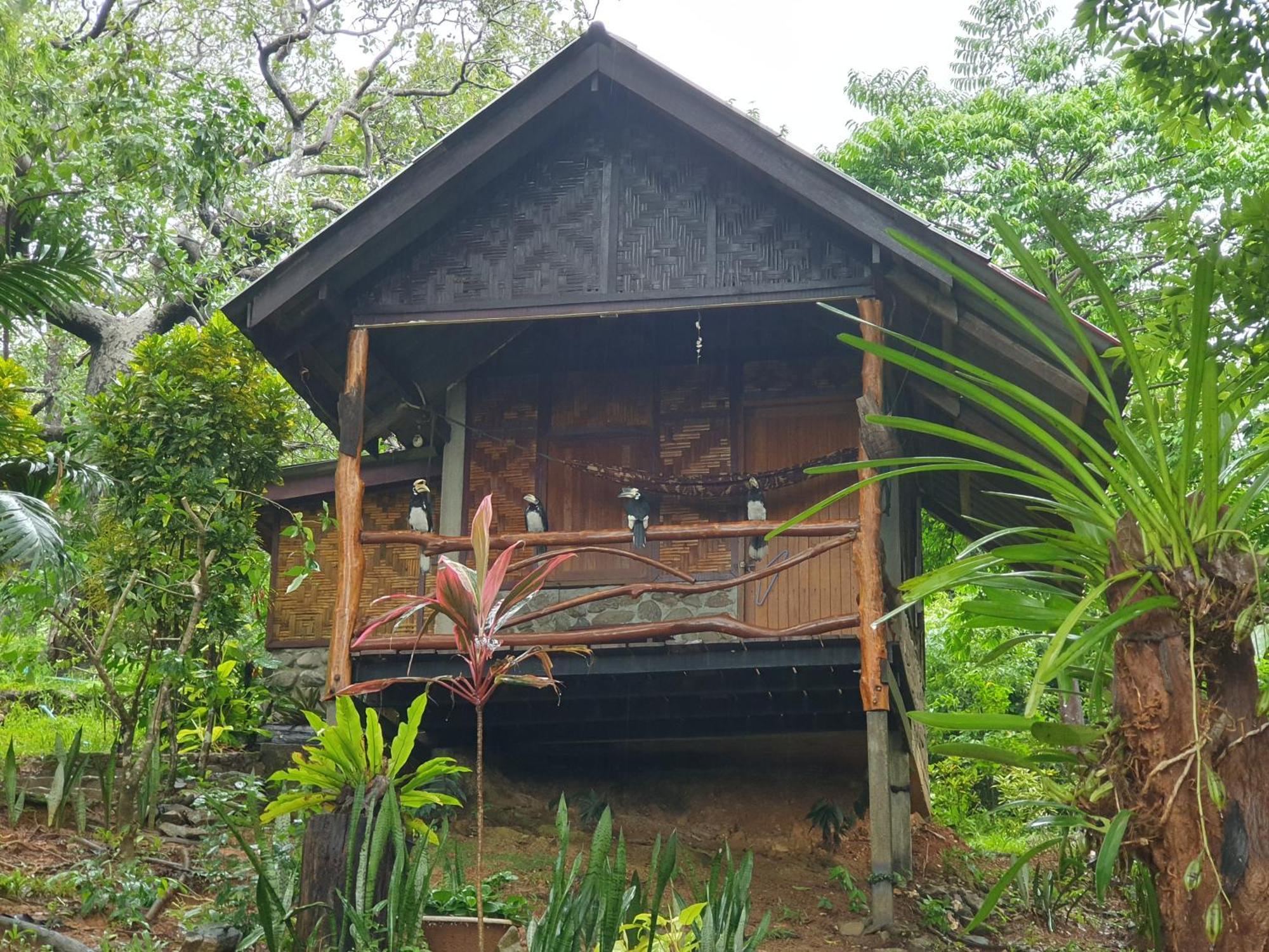 Littleduck Bungalow Koh Chang Ranong Room photo