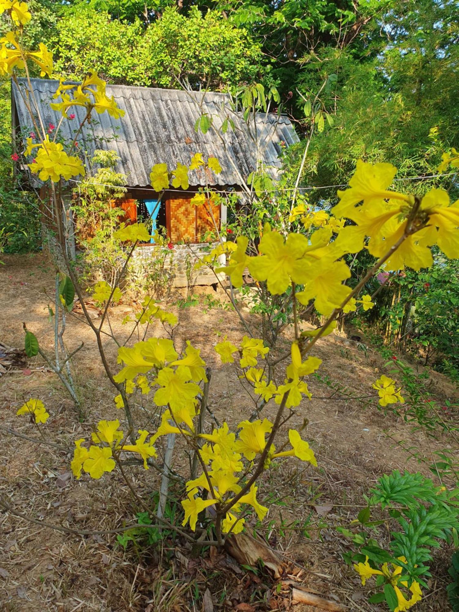 Littleduck Bungalow Koh Chang Ranong Room photo
