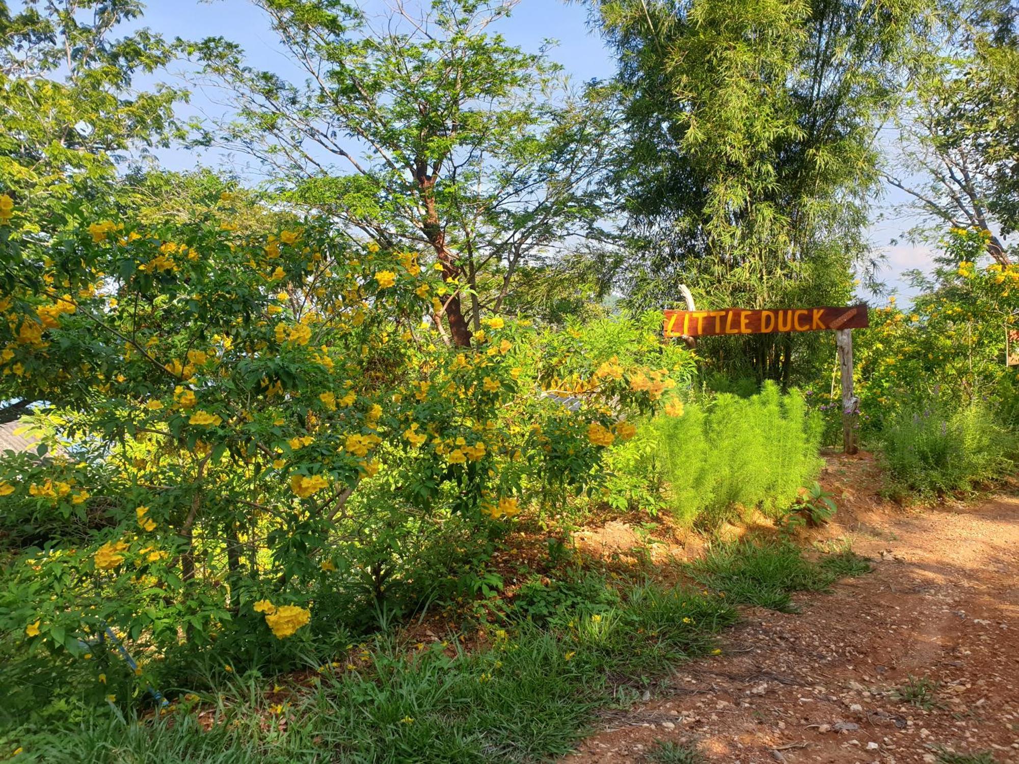 Littleduck Bungalow Koh Chang Ranong Exterior photo